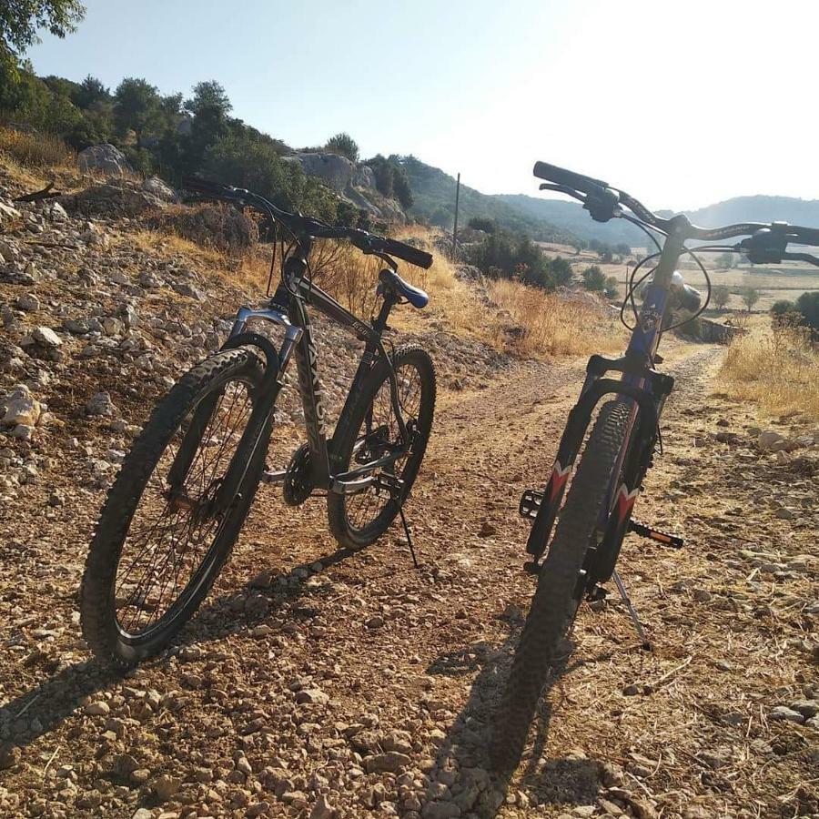 Likya Sup Apart Kaş Exteriér fotografie